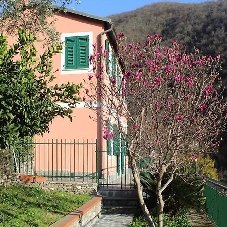 佐阿利Casa Laura别墅 外观 照片