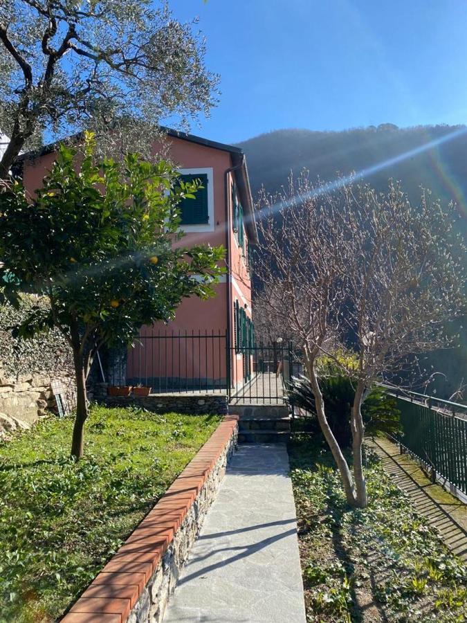 佐阿利Casa Laura别墅 外观 照片