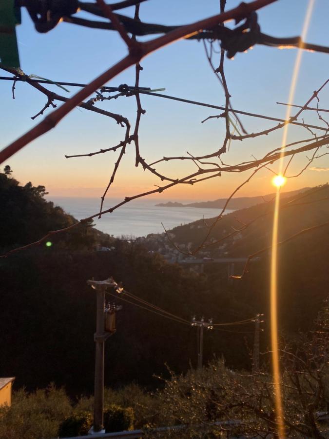 佐阿利Casa Laura别墅 外观 照片