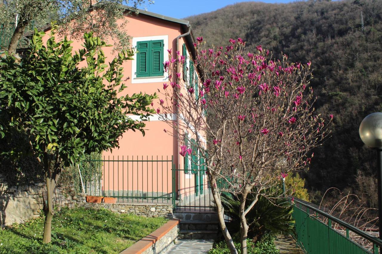 佐阿利Casa Laura别墅 外观 照片